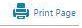 print page icon
